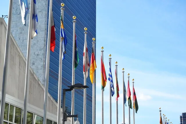 Creative Youth Initiative Against Corruption named finalist of the first ever United Nations SDG Action Awards
