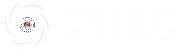 Creative Youth Initiative Against Corruption